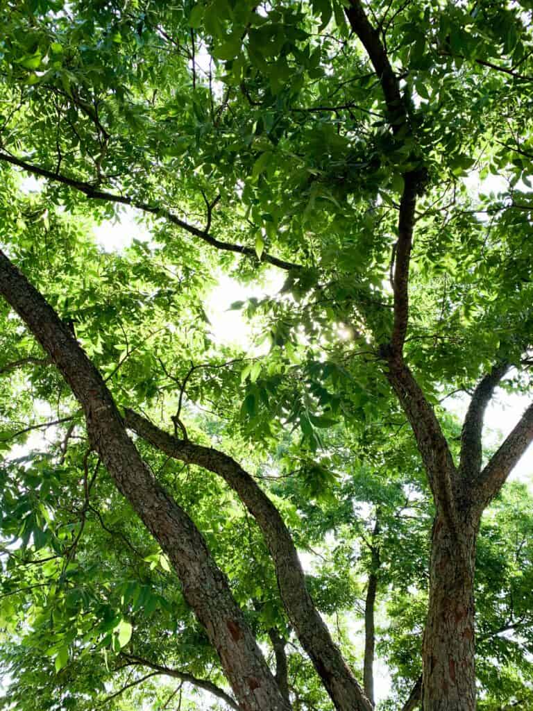 Putting Others First as a Homemaker