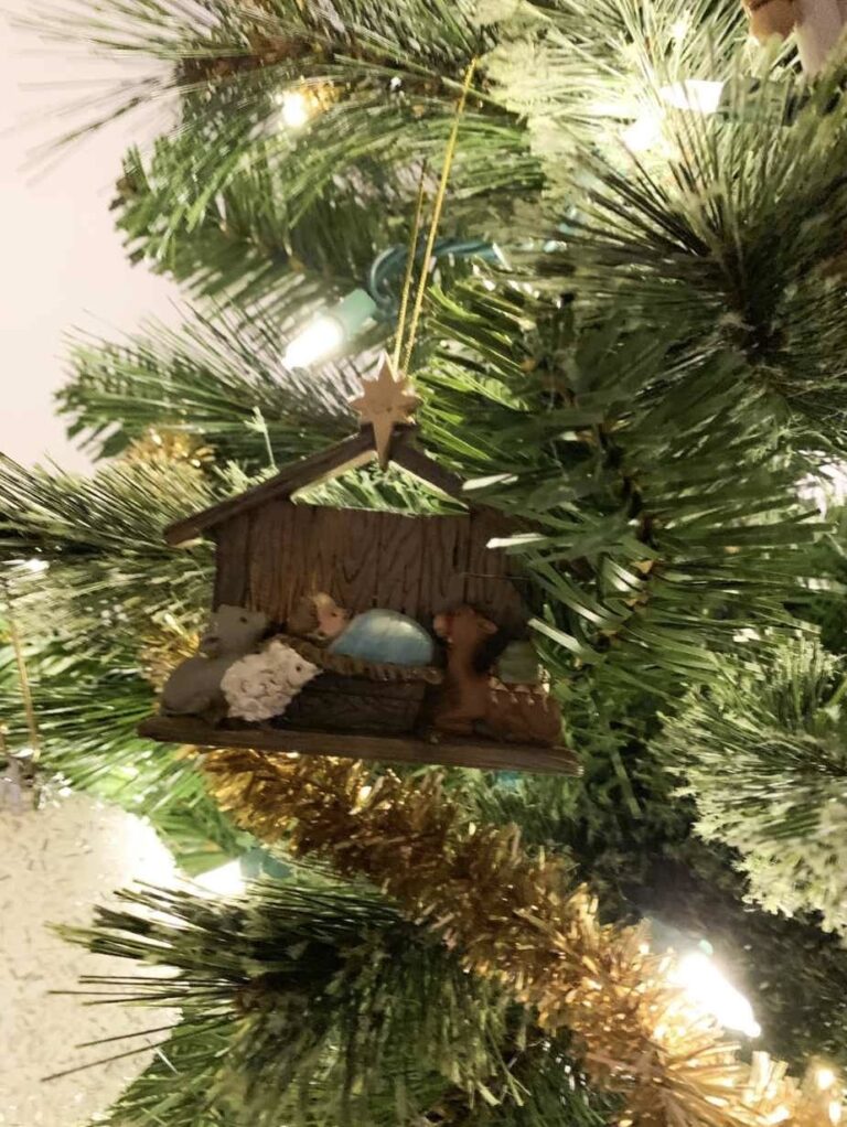 Christ Centered Christmas Ideas with Kids